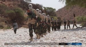 Five foreigners among dozens of latest fighters to join ISIS affiliate in Somalia