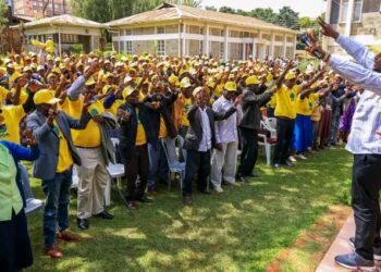 Electoral Preparations Intensify as UDA Consolidates Party Structure