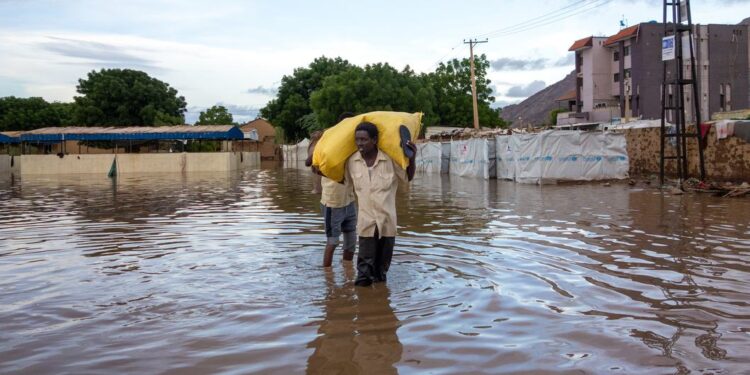 IOM Warns of “Catastrophic” Service Collapse in South Sudan