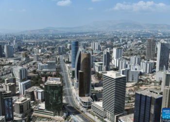 ETHIOPIA: WTO Accession Talks Reach “Decisive Juncture” Amid Economic Reform