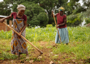 TANZANIA: PRISONS SERVICE LAUNCHES DRIVE FOR NATIONWIDE FOOD SELF-SUFFICIENCY