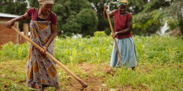 TANZANIA: PRISONS SERVICE LAUNCHES DRIVE FOR NATIONWIDE FOOD SELF-SUFFICIENCY