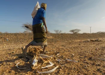 SOUTH SUDAN: 7.8 MILLION FACE ACUTE HUNGER AS CLIMATE SHOCKS, CONFLICT PERSIST