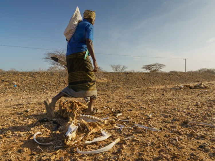 SOUTH SUDAN: 7.8 MILLION FACE ACUTE HUNGER AS CLIMATE SHOCKS, CONFLICT PERSIST
