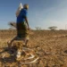 SOUTH SUDAN: 7.8 MILLION FACE ACUTE HUNGER AS CLIMATE SHOCKS, CONFLICT PERSIST