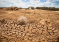 ETHIOPIA: IRELAND PLEDGES CLIMATE PARTNERSHIP AS DROUGHT PERSISTS