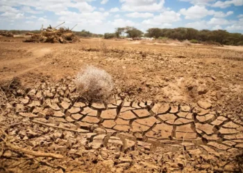 ETHIOPIA: IRELAND PLEDGES CLIMATE PARTNERSHIP AS DROUGHT PERSISTS
