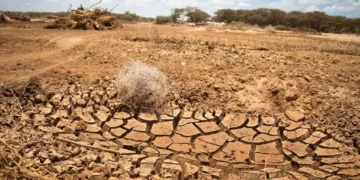 ETHIOPIA: IRELAND PLEDGES CLIMATE PARTNERSHIP AS DROUGHT PERSISTS