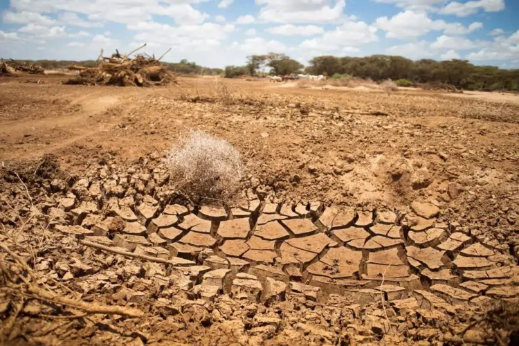 ETHIOPIA: IRELAND PLEDGES CLIMATE PARTNERSHIP AS DROUGHT PERSISTS