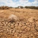 ETHIOPIA: IRELAND PLEDGES CLIMATE PARTNERSHIP AS DROUGHT PERSISTS