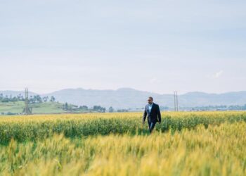 ETHIOPIA: Abiy Hails “Remarkable” Summer Wheat Harvest in Food Security Push