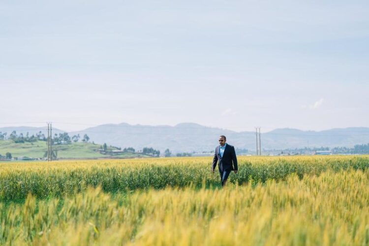 ETHIOPIA: Abiy Hails “Remarkable” Summer Wheat Harvest in Food Security Push