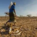 Ali Liban Guracho walks past dozens of dead cattle outside Garissa, Kenya. Image by Larry C. Price. Kenya, 2022.