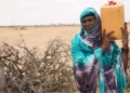SOMALIA: Resource Scarcity Triggers Deadly Clan Clashes in Laashimo Valley