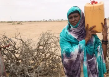 SOMALIA: Resource Scarcity Triggers Deadly Clan Clashes in Laashimo Valley