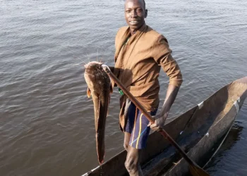 SOUTH SUDAN: Intercommunal Fighting Over Fishing Grounds Leaves Dozens Feared Dead