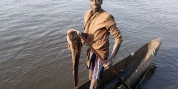 SOUTH SUDAN: Intercommunal Fighting Over Fishing Grounds Leaves Dozens Feared Dead